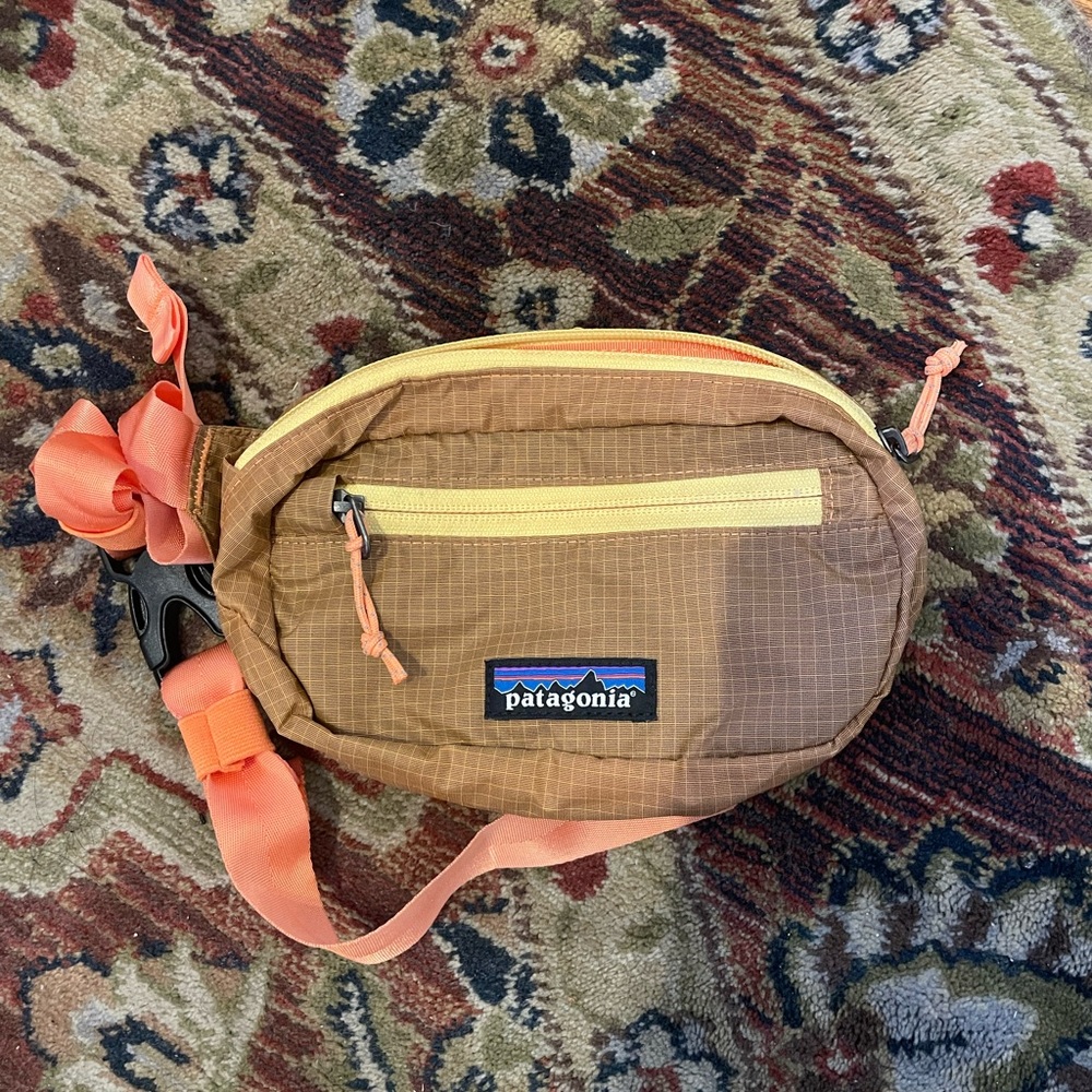 Patagonia Mini Hip Pack